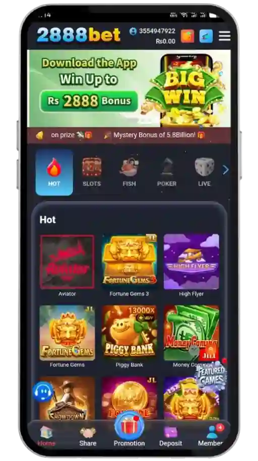 2888bet Game Interface