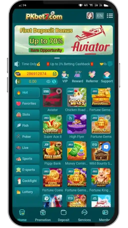 PKbet7 Game Interface