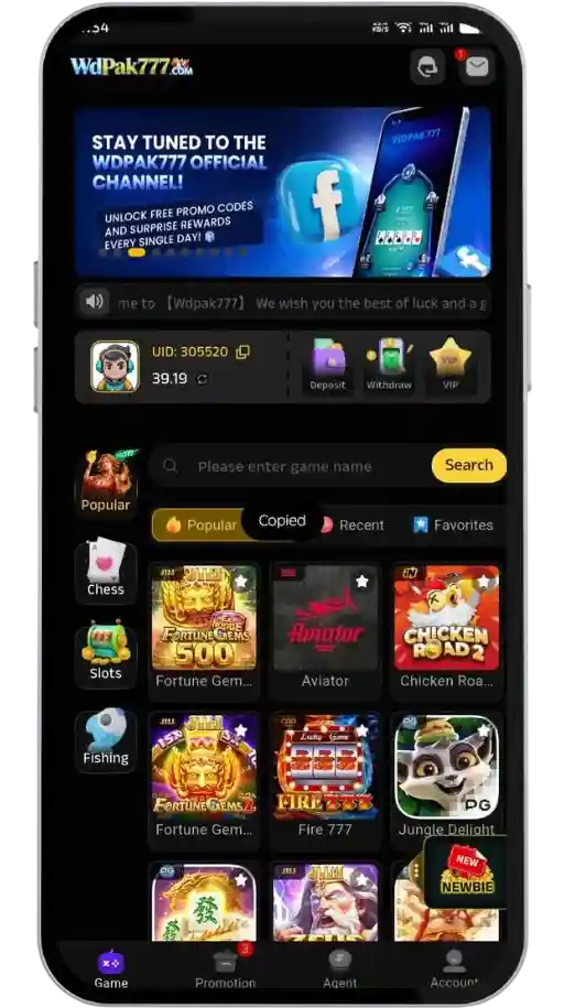 WdPak777 Game Interface