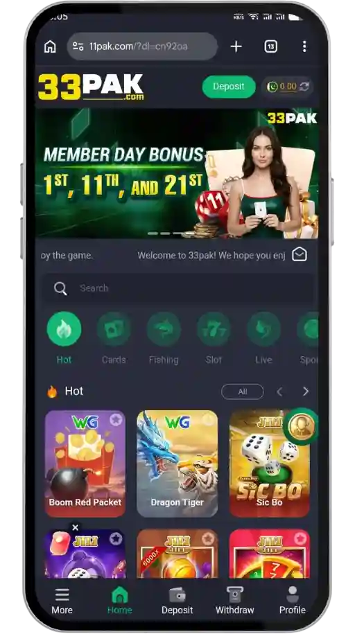 33PAK Game Interface