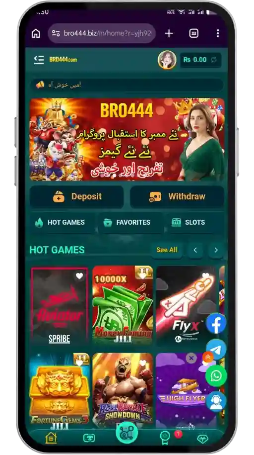 BRO444 Game Interface