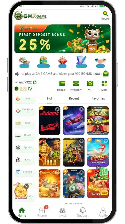 GM7 Game Interface
