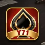 Y71 Game