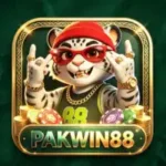 PAKWIN88 Game