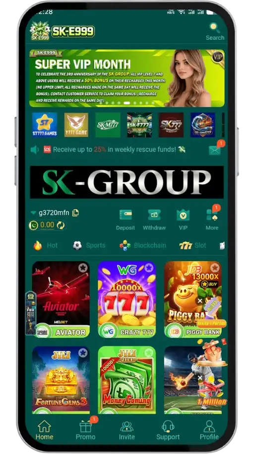 SKE999 Game Interface